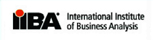 International Institute of Business Analysts